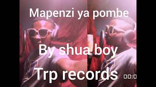 Mapenzi ya pombe official music by shua boyKenyan music [upl. by Eeniffar532]