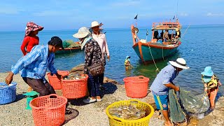 Seafood Paradise at Crab Market Best Street Food Tour in Kep Province Kampot amp More Cambodia [upl. by Edrock]