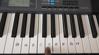 THARAME THARAME SONG KEYBOARD NOTES [upl. by Eidnas293]