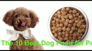 The 10 Best Dog Food for Poodles  Petdiicom [upl. by Shipp911]