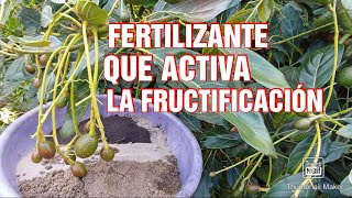 ESTE fertilizante va ser un ANTES Y UN DESPUÉS para tus PLANTAS [upl. by Epps330]