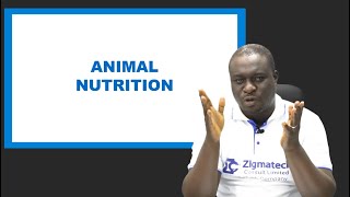 BIOLOGY  ANIMAL NUTRITION  EXAM GUIDE  LEARNING HUB  ZIGMATECH CONSULT LMTD EXAMGUIDE  SCIENCE [upl. by Elocn507]