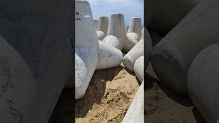 concrete tetrapods helps to resist the force of oceansoil erosion and waves [upl. by Alleirbag792]