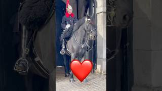 Top BEST Horses shorts foryou history royalhorseguard horseguard tourist royalguards india [upl. by Ahsikym]