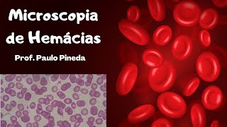 Histologia  Microscopia de Hemácias [upl. by Reade609]