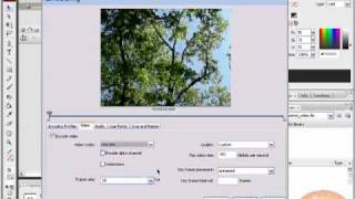 ImportExport Flv Video Flash Tutorial [upl. by Yrekcaz]