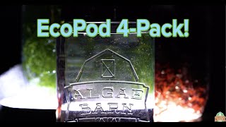 AlgaeBarns EcoPod 4Pack [upl. by Tali316]