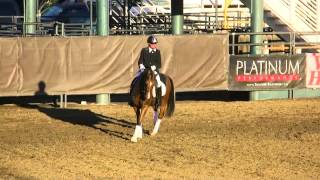 Sabine Rijssenbeek and Petite Gabriella Freestyle Dressage at CA Horse Expo Sat Night June 2013 [upl. by Garda68]