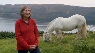 Major sighting at Loch Ness turns out to be m̶o̶n̶s̶t̶e̶r Rehomed Horse of the Year [upl. by Gran963]