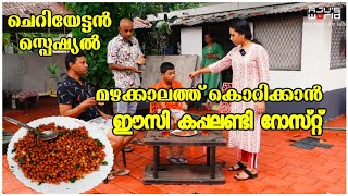 എളുപ്പത്തിൽ കപ്പലണ്ടി റോസ്റ്റും കട്ടൻ ചായയും 😋 Easy Peanut Roast Kappalandi roast AJUS WORLD [upl. by Eustatius]