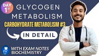 glycogen metabolism biochemistry  glycogenesis biochemistry  glycogenolysis biochemistry [upl. by Lyris]