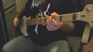 Zappa  A Token of My Extreme Bass Cover [upl. by Krall]