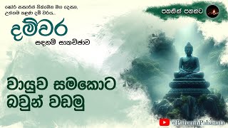 21 වායුව සමකොට බවුන් වඩමු  දම්වර සදහම් සාකච්ඡාව  ගරු වසන්ත වීරසිංහ මහතා [upl. by Zorine857]