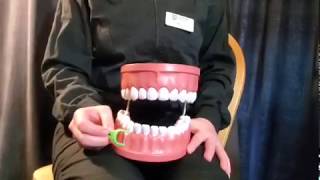 Floss Pick Method of Flossing [upl. by Yticilef726]