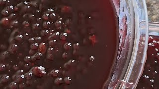 SAGU DE VINHO TINTO SUAVE E SUCO DE UVA INTEGRAL🍇💜UMA DELÍCIA receitas deliciosas [upl. by Else]