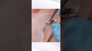 Video Corso Extension ciglia One to One e Volume americanails lashes Extensionciglia videocorsi [upl. by Hibbs]