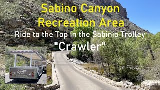 Sabino Canyon Recreation Area The Shuttle Crawler Ride to the Top Through Coronado National Forest [upl. by Nyroc]