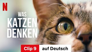 Was Katzen denken Clip 9  Trailer auf Deutsch  Netflix [upl. by Snodgrass]