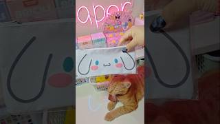 Cinnamoroll with🐈 sanrio cinnamoroll hellokitty kuromi mymelody cute japan shorts asmr fyp [upl. by Salomo]