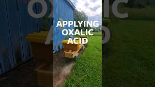 Applying Oxalic Acid on Walkaway Splits [upl. by Nieberg962]