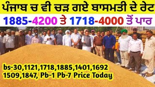 basmati rate 1121 1718 1885 1847 1692 1401 1509 Pb1 Pb7 basmati price today tmb info mandi bhav [upl. by Terrena]