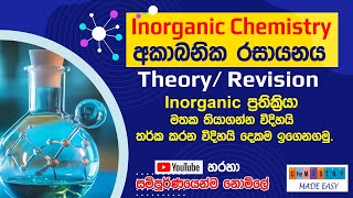 2024  2025 Theory  Revision  Inorganic Chemistry [upl. by Justicz]