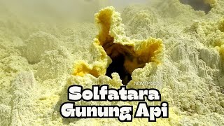 Keindahan Solfatara Kawah Gunung Api Papandayan [upl. by Gnat]