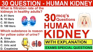 mcqs on human kidney  human kidney mcqs questions and answers  human excretory system [upl. by Llenrap603]