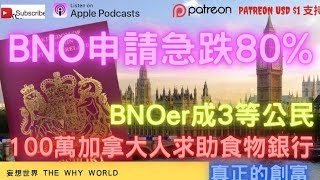 🔥🔥BNO移英申請急跌‼️  💥💥港人成三等公民  🥵加拿大人迫爆食物銀行  😍移民其實不用錢 [upl. by Neuburger]