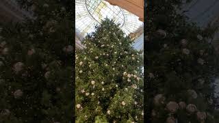 San Fransisco Neiman Marcus store on unionsquare youtube shorts christmas christmastree [upl. by Mann764]