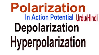 What is Polarization What is Depolarization Hyperpolarization in Action Potential UrduHindi [upl. by Zeeba]