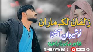 Zulfan Laka Maran De Pashto New Tiktok Song 2024  Nosherwan Ashna   New Song 2024 [upl. by Shirleen]