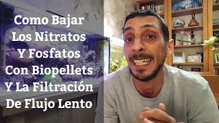 🔵 Como Bajar Nitratos Y Fosfatos Con Reactor De Biopellets Y Filtración De Flujo Lento Acuarios MB [upl. by Lucais]