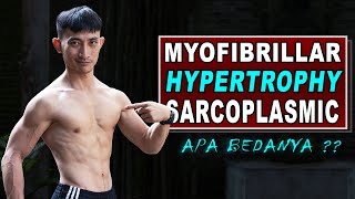 Hipertrofi Otot  Hypertrophy Myofibrilar amp Sarcoplasmic Serta Latihannya [upl. by Ilahtan]