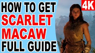 How to Catch Scarlet Macaw  Soulmask [upl. by Alset757]