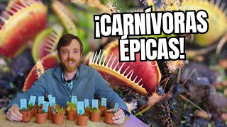 PLANTAS CARNÍVORAS para principiantes 🔥TREMENDO Unboxing de PLANTAS RARAS [upl. by Soinski856]