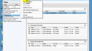 QuickBooks Accountant 2012  File Manager [upl. by Ayahsey]