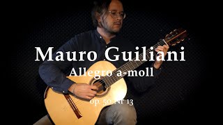 Mauro Guiliani  Allegro  amoll [upl. by Ytissahc]