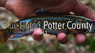 Blue Lining Potter County Part 1 [upl. by Betta]