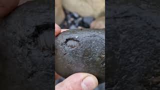 SPOT THE DACTYLIOCERAS ammonite fossil on this jurassic beach Whitby [upl. by Yunick]