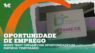 Meses quotBROquot chegam com oportunidades de emprego temporário [upl. by Nauhs]