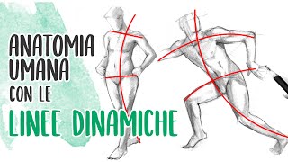 LE TUE FIGURE SEMBRANO MANICHINI USA LE LINEE DINAMICHE Disegnare Corpo Umano Anatomia Artistica [upl. by Sikko]