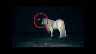 Scientists Have Found Fossils That Prove Unicorns Existed – But They Were Actually Pretty Terrifying [upl. by Billat432]