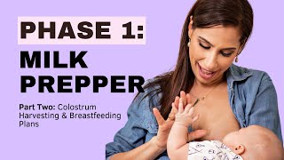 Mastering Breastfeeding The Ultimate FREE Online Class for New Moms MILK PREPPER Part 2 [upl. by Akel148]