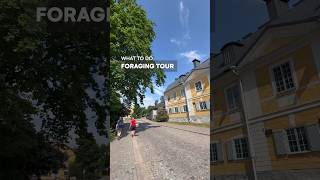 What to Do in Porvoo  Finland  Foraging Tour [upl. by Kirbee146]