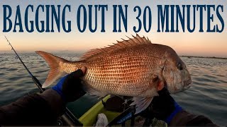 SNAPPER FISHING FRENZY IN PORT PHILLIP BAY [upl. by Banerjee550]