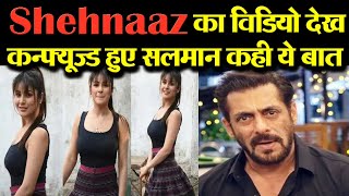 Shehnaaz Gill की New Video देख कर कैसा था भाई जान Salman khan का रिएक्शन [upl. by Yand]