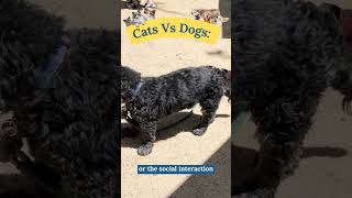 Cats Vs Dogs The Science Has Spoken alzheimers [upl. by Badr]