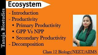 Ecosystem  Introduction  GPP Vs NPP  Decomposition Decomposer DetritusLeaching Class 12NEET [upl. by Asia851]