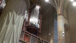 Castle Church Wittenberg  Organ Recessional [upl. by Gomar]